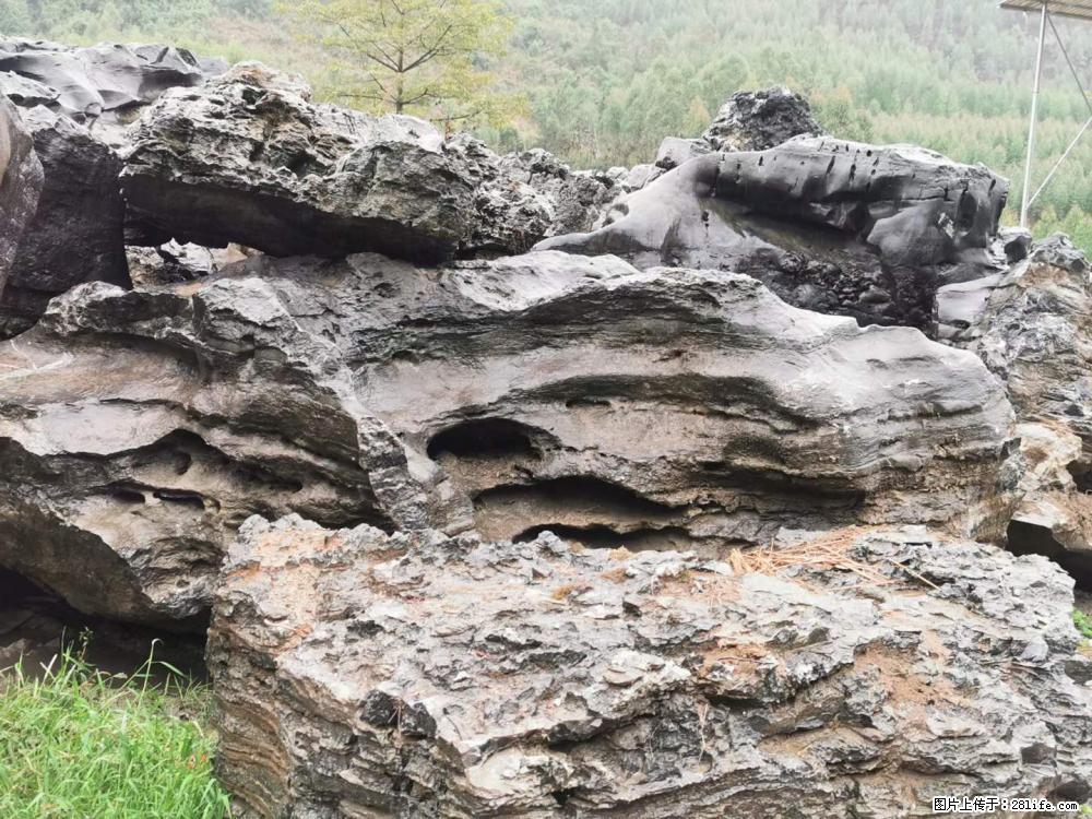 风景石、假山石大量有货，有需要的欢迎联系 - 新手上路 - 三门峡生活社区 - 三门峡28生活网 smx.28life.net