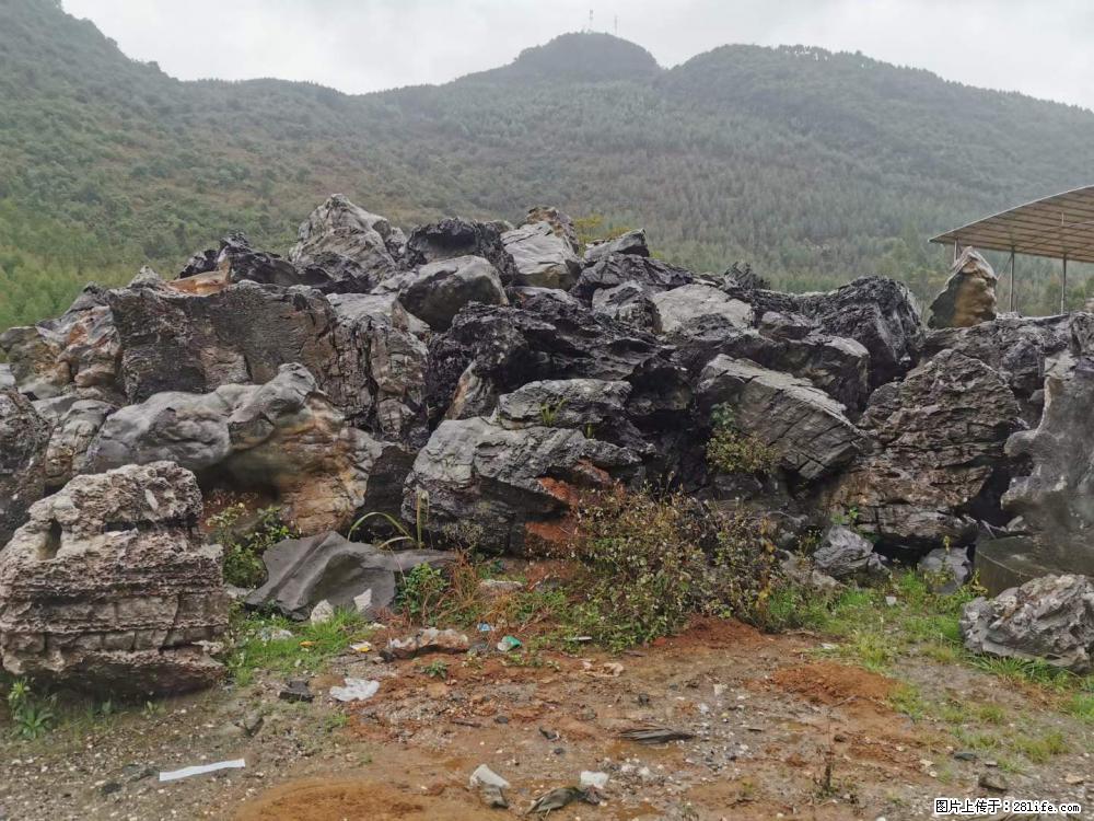 风景石、假山石大量有货，有需要的欢迎联系 - 新手上路 - 三门峡生活社区 - 三门峡28生活网 smx.28life.net