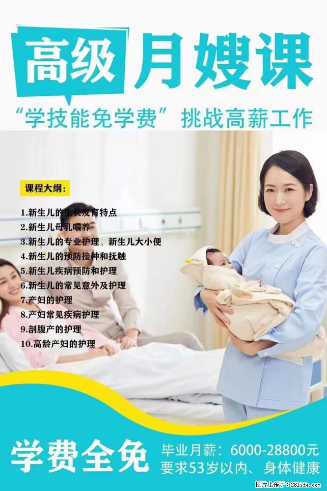 为什么要学习月嫂，育婴师？ - 其他广告 - 广告专区 - 三门峡分类信息 - 三门峡28生活网 smx.28life.net