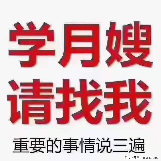 为什么要学习月嫂，育婴师？ - 新手上路 - 三门峡生活社区 - 三门峡28生活网 smx.28life.net