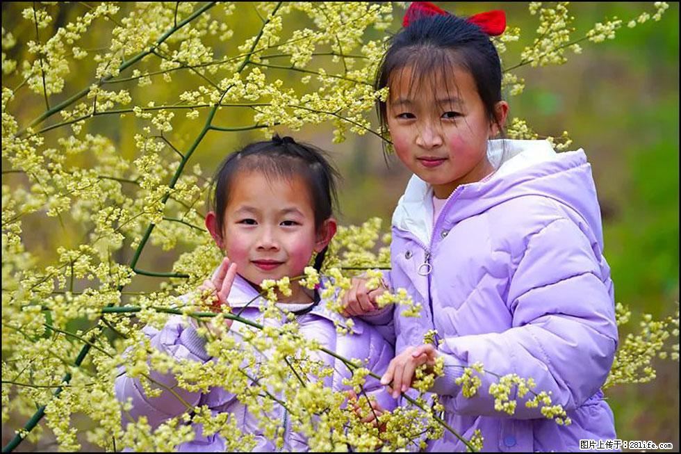 【春天，广西桂林灌阳县向您发出邀请！】米珠山前有片山苍子花在飘香 - 游山玩水 - 三门峡生活社区 - 三门峡28生活网 smx.28life.net