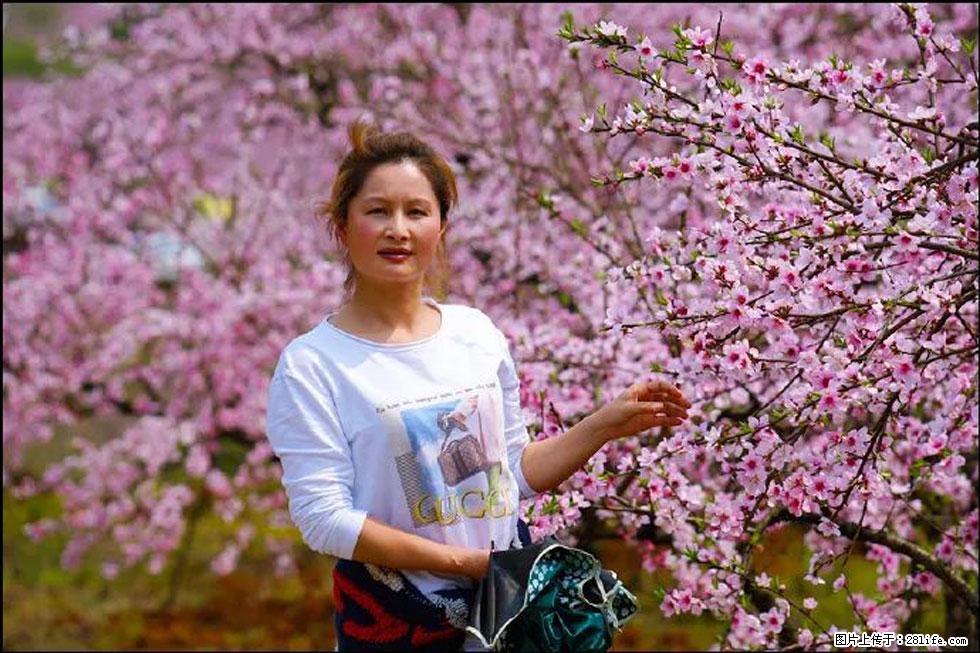 【春天,广西桂林灌阳县向您发出邀请!】官庄村有个醉美的桃花园 - 游山玩水 - 三门峡生活社区 - 三门峡28生活网 smx.28life.net