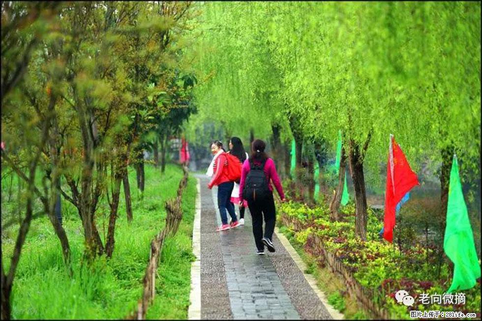 【春天，广西桂林灌阳县向您发出邀请！】江口老街又逢春 - 游山玩水 - 三门峡生活社区 - 三门峡28生活网 smx.28life.net