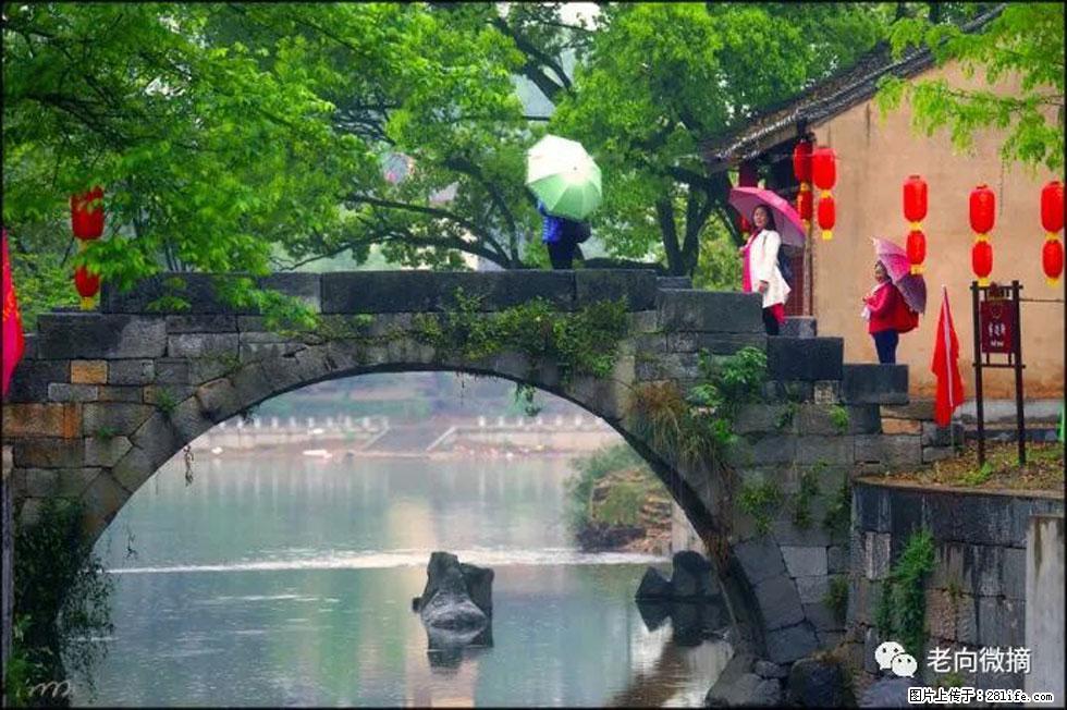 【春天，广西桂林灌阳县向您发出邀请！】江口老街又逢春 - 游山玩水 - 三门峡生活社区 - 三门峡28生活网 smx.28life.net