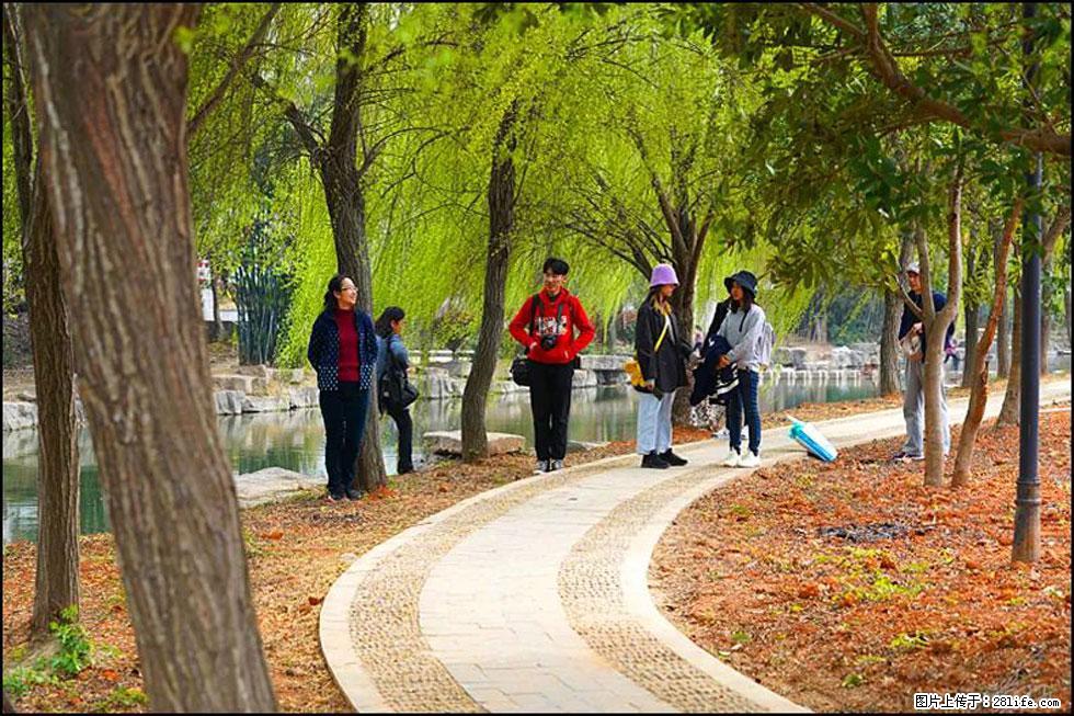 【春天，广西桂林灌阳县向您发出邀请！】江口老街又逢春 - 游山玩水 - 三门峡生活社区 - 三门峡28生活网 smx.28life.net
