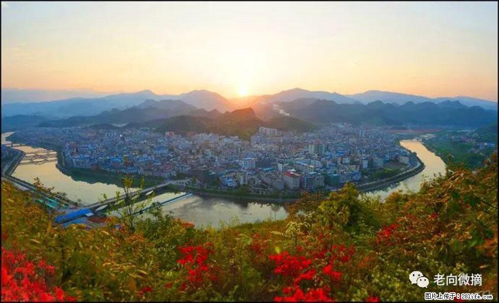【春天，广西桂林灌阳县向您发出邀请！】登麒麟山，相约映山红 - 游山玩水 - 三门峡生活社区 - 三门峡28生活网 smx.28life.net