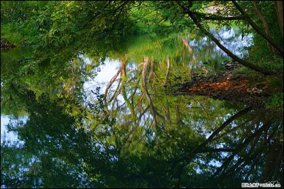 【春天，广西桂林灌阳县向您发出邀请！】熊家寨湿地公园 - 游山玩水 - 三门峡生活社区 - 三门峡28生活网 smx.28life.net