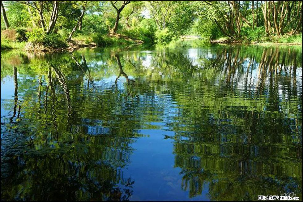【春天，广西桂林灌阳县向您发出邀请！】熊家寨湿地公园 - 游山玩水 - 三门峡生活社区 - 三门峡28生活网 smx.28life.net