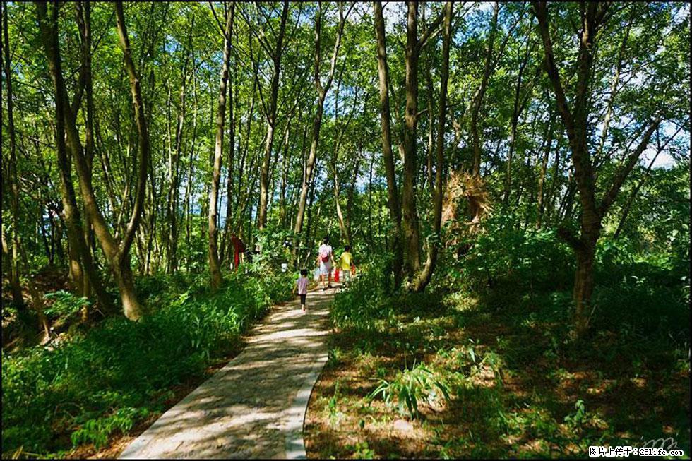 【春天，广西桂林灌阳县向您发出邀请！】熊家寨湿地公园 - 游山玩水 - 三门峡生活社区 - 三门峡28生活网 smx.28life.net