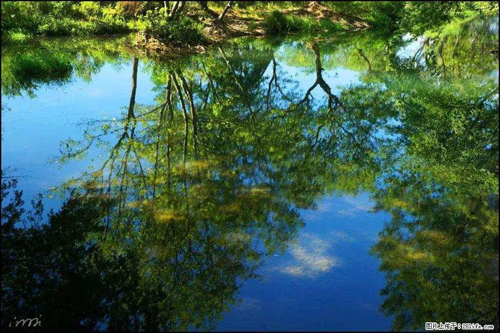 【春天，广西桂林灌阳县向您发出邀请！】熊家寨湿地公园 - 游山玩水 - 三门峡生活社区 - 三门峡28生活网 smx.28life.net