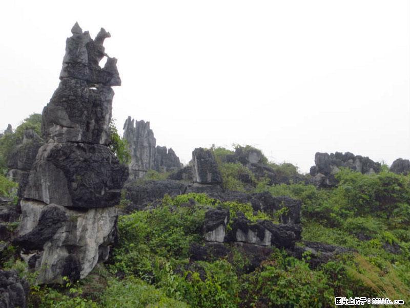 桂林旅游名城景点：灌阳文市石林 - 游山玩水 - 三门峡生活社区 - 三门峡28生活网 smx.28life.net
