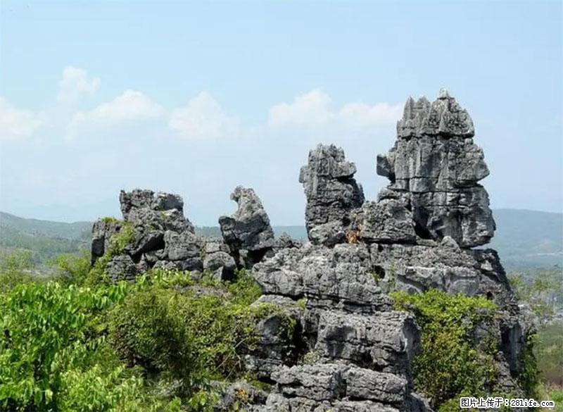 桂林旅游名城景点：灌阳文市石林 - 游山玩水 - 三门峡生活社区 - 三门峡28生活网 smx.28life.net