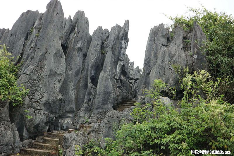 桂林旅游名城景点：灌阳文市石林 - 游山玩水 - 三门峡生活社区 - 三门峡28生活网 smx.28life.net