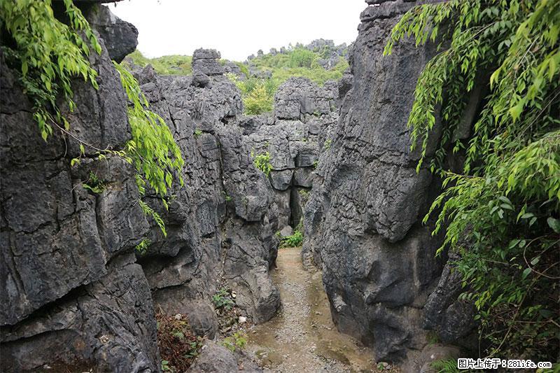 桂林旅游名城景点：灌阳文市石林 - 游山玩水 - 三门峡生活社区 - 三门峡28生活网 smx.28life.net