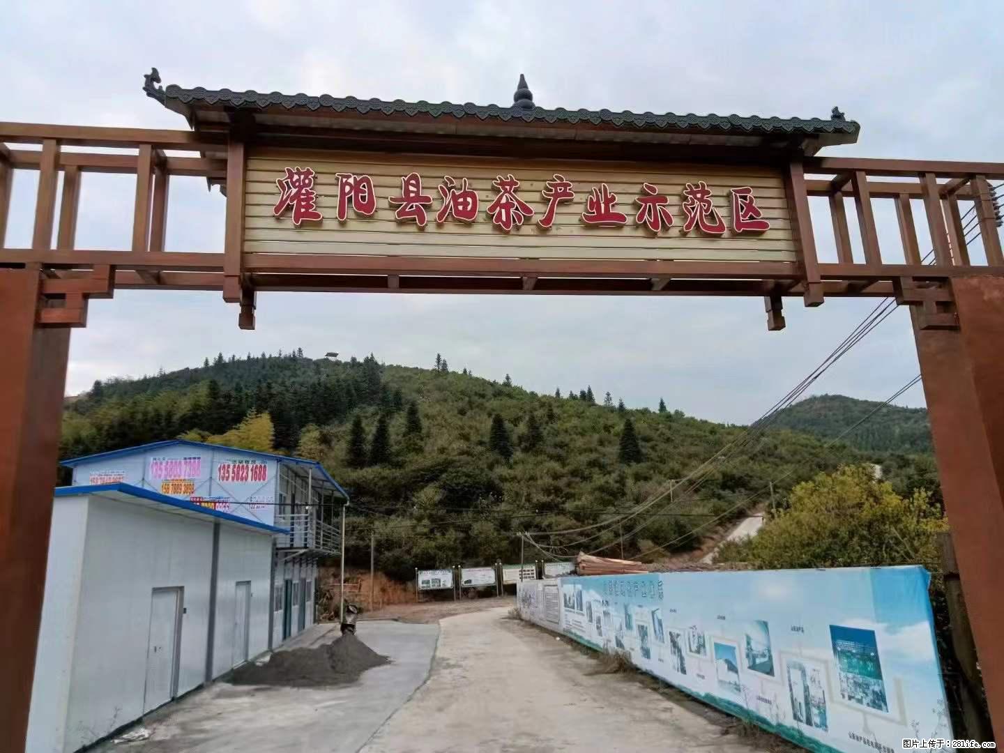 【灌阳县油茶产业示范区】一个有着充实的精神生活的人，对待身外之物自会有一种淡泊的态度 - 美食天地 - 三门峡生活社区 - 三门峡28生活网 smx.28life.net