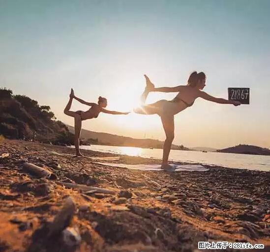 辞掉工作周游世界?现在他们在洗厕所…… - 游山玩水 - 三门峡生活社区 - 三门峡28生活网 smx.28life.net