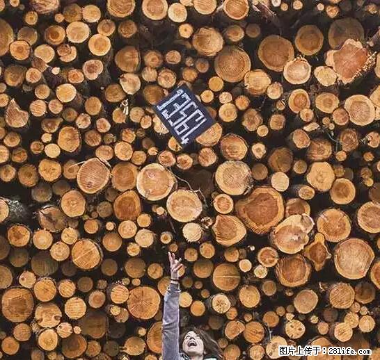 辞掉工作周游世界?现在他们在洗厕所…… - 游山玩水 - 三门峡生活社区 - 三门峡28生活网 smx.28life.net