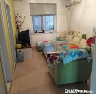 (单间出租)六峰路与虢国路口三小东 精装修 全套家具家电 拎包入住 - 三门峡28生活网 smx.28life.net