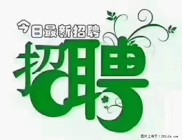 【招聘】产康师 - 职场交流 - 三门峡生活社区 - 三门峡28生活网 smx.28life.net