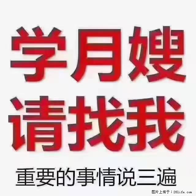 【招聘】月嫂，上海徐汇区 - 职场交流 - 三门峡生活社区 - 三门峡28生活网 smx.28life.net
