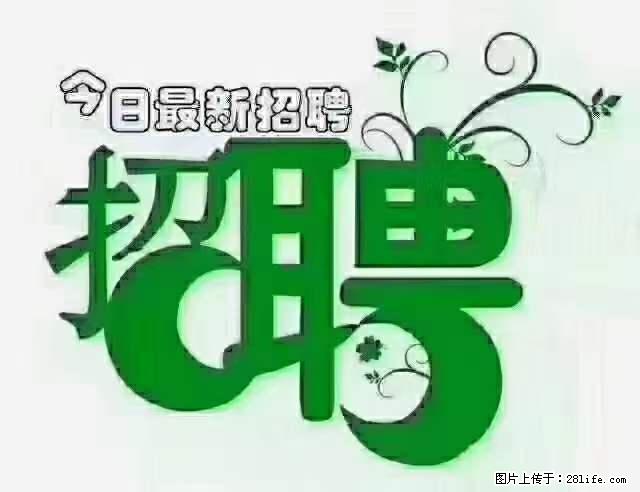 上海隔离酒店招人:55岁以下 男女不限 - 职场交流 - 三门峡生活社区 - 三门峡28生活网 smx.28life.net