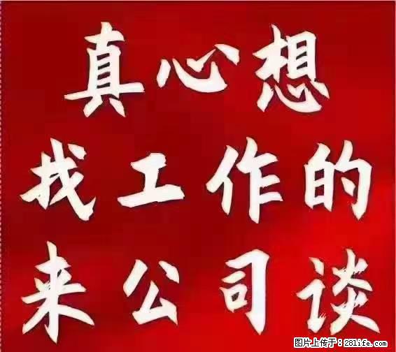 【上海】国企，医院招两名男保安，55岁以下，身高1.7米以上，无犯罪记录不良嗜好 - 职场交流 - 三门峡生活社区 - 三门峡28生活网 smx.28life.net