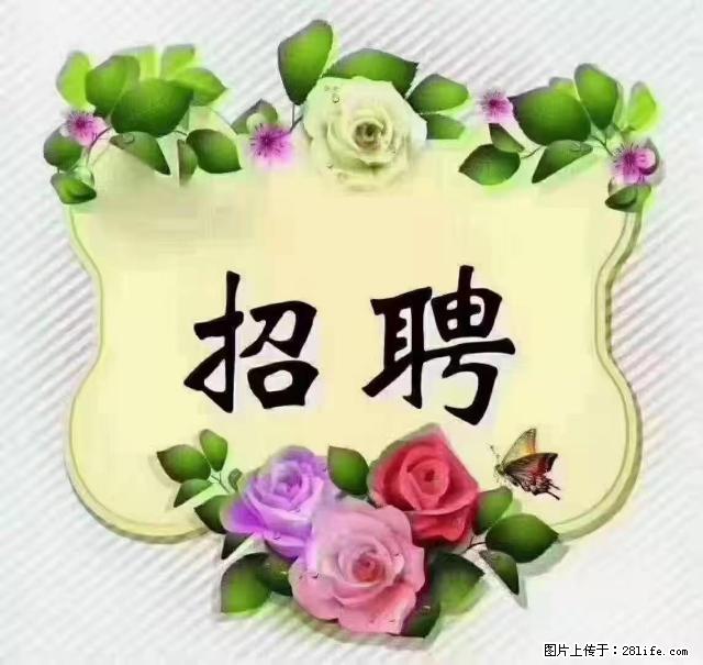 【招聘】住家育儿嫂，上户日期：4月4日，工作地址：上海 黄浦区 - 职场交流 - 三门峡生活社区 - 三门峡28生活网 smx.28life.net