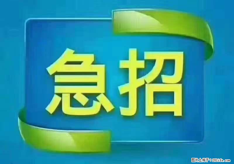 招出纳8000元/月，无证可以，要有相关经验，上海五险一金，包住，包工作餐，做六休一。 - 职场交流 - 三门峡生活社区 - 三门峡28生活网 smx.28life.net