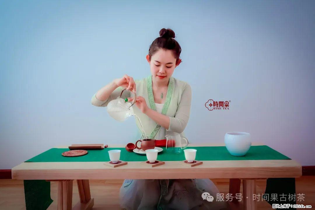 时间果百年古树龙珠普洱生茶 - 购物交流 - 三门峡生活社区 - 三门峡28生活网 smx.28life.net
