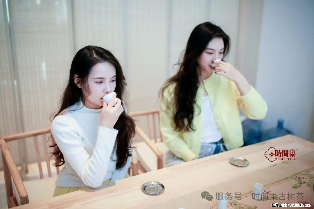 时间果百年古树龙珠普洱生茶 - 购物交流 - 三门峡生活社区 - 三门峡28生活网 smx.28life.net