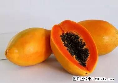晕车、脚气、牙齿变黄、皮肤粗糙？学会这些三分钟搞定！ - 三门峡生活资讯 - 三门峡28生活网 smx.28life.net