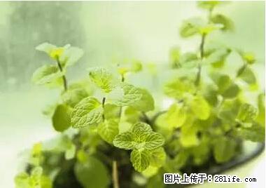 晕车、脚气、牙齿变黄、皮肤粗糙？学会这些三分钟搞定！ - 三门峡生活资讯 - 三门峡28生活网 smx.28life.net
