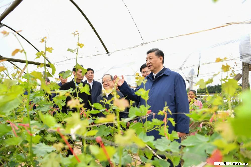 习近平赴广西考察调研 - 三门峡生活资讯 - 三门峡28生活网 smx.28life.net
