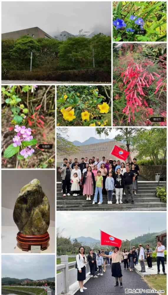 “粤灌文化 美好生活”油茶文化主题活动在广东深圳成功举办 - 三门峡生活资讯 - 三门峡28生活网 smx.28life.net