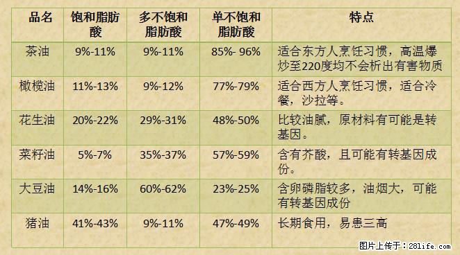 揭秘茶油的5大核心营养成分！被称为人体健康的“守护盾”！ - 三门峡生活资讯 - 三门峡28生活网 smx.28life.net