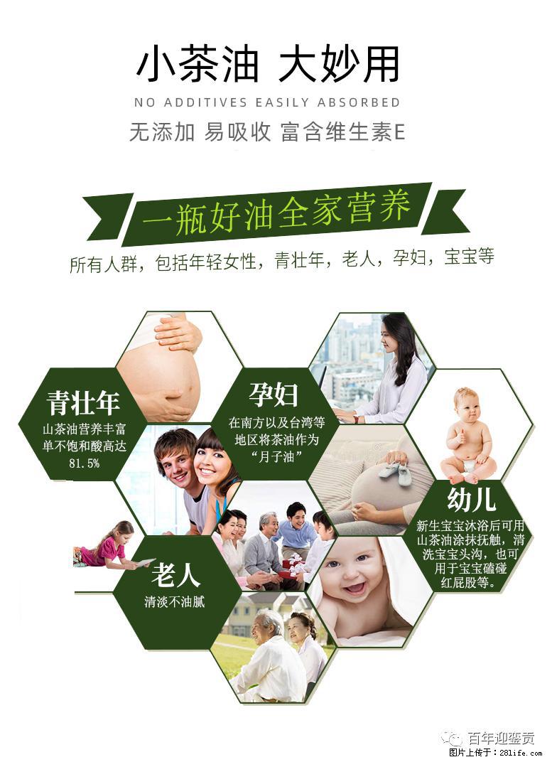 世界没有真相，只有认知，最好的食用油是中国的山茶油！ - 三门峡生活资讯 - 三门峡28生活网 smx.28life.net