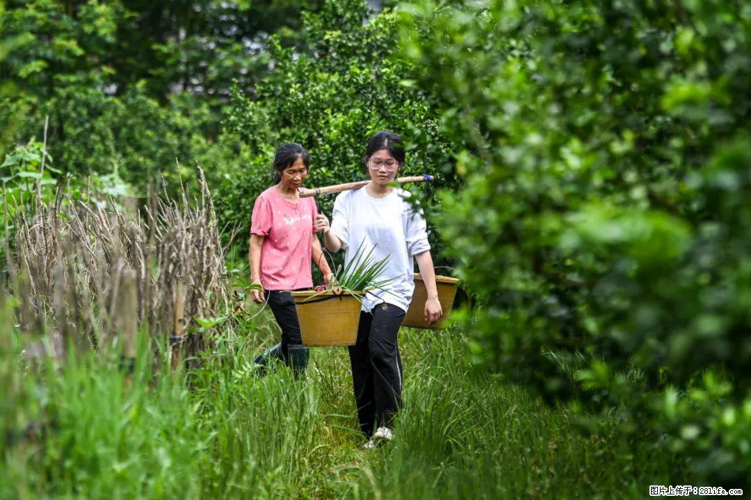 全网追的“扁担女孩”，找了一份暑假工，时薪12元 - 三门峡生活资讯 - 三门峡28生活网 smx.28life.net