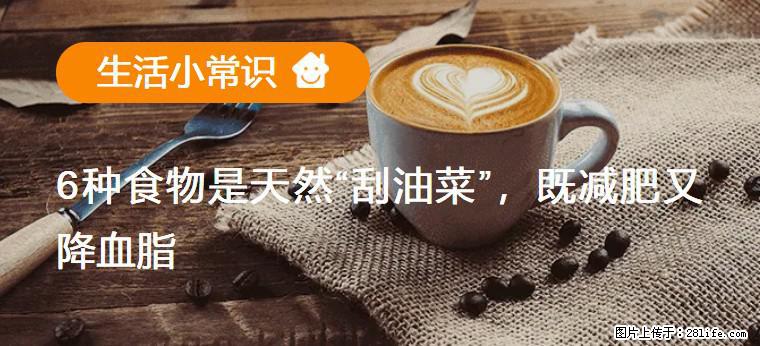 【生活小常识】6种食物是天然“刮油菜”，既减肥又降血脂 - 三门峡生活资讯 - 三门峡28生活网 smx.28life.net