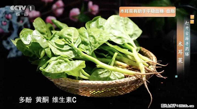比牛奶补钙还厉害！凉血解毒、稳血糖...这菜冬天必吃，很多人却当草 - 三门峡生活资讯 - 三门峡28生活网 smx.28life.net