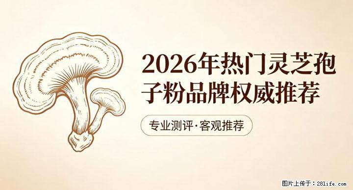 灵芝孢子粉含量越高越有效？2026 年七款热门品牌深度实测，肠胃敏感者避坑指南 - 三门峡生活资讯 - 三门峡28生活网 smx.28life.net